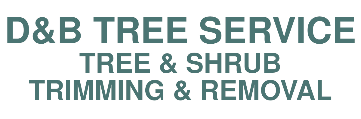 D&B Tree Service logo - Tree Removal, Tree Trimming, & Shrub Removal Services in Cedar Rapids and Marion, IA